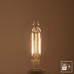 ampoule-antique-Edison-Style-original-clair-DEL-1