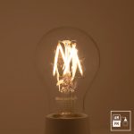 ampoule-antique-Edison-Style-victorien-clair-DEL-1