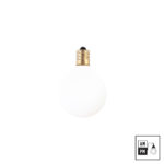 ampoule-antique-candelabra-E12-globe-G12-laiteux